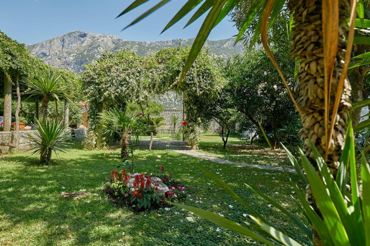 Mediterranean Holiday House & Apartments Kotor Bagian luar foto